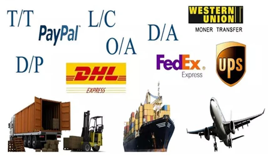 Scraper conveyor chain payment and shipping way 